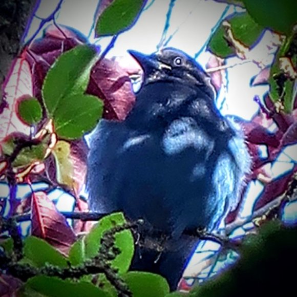 Meet your Posher, Sarah - Picture 2 of 9